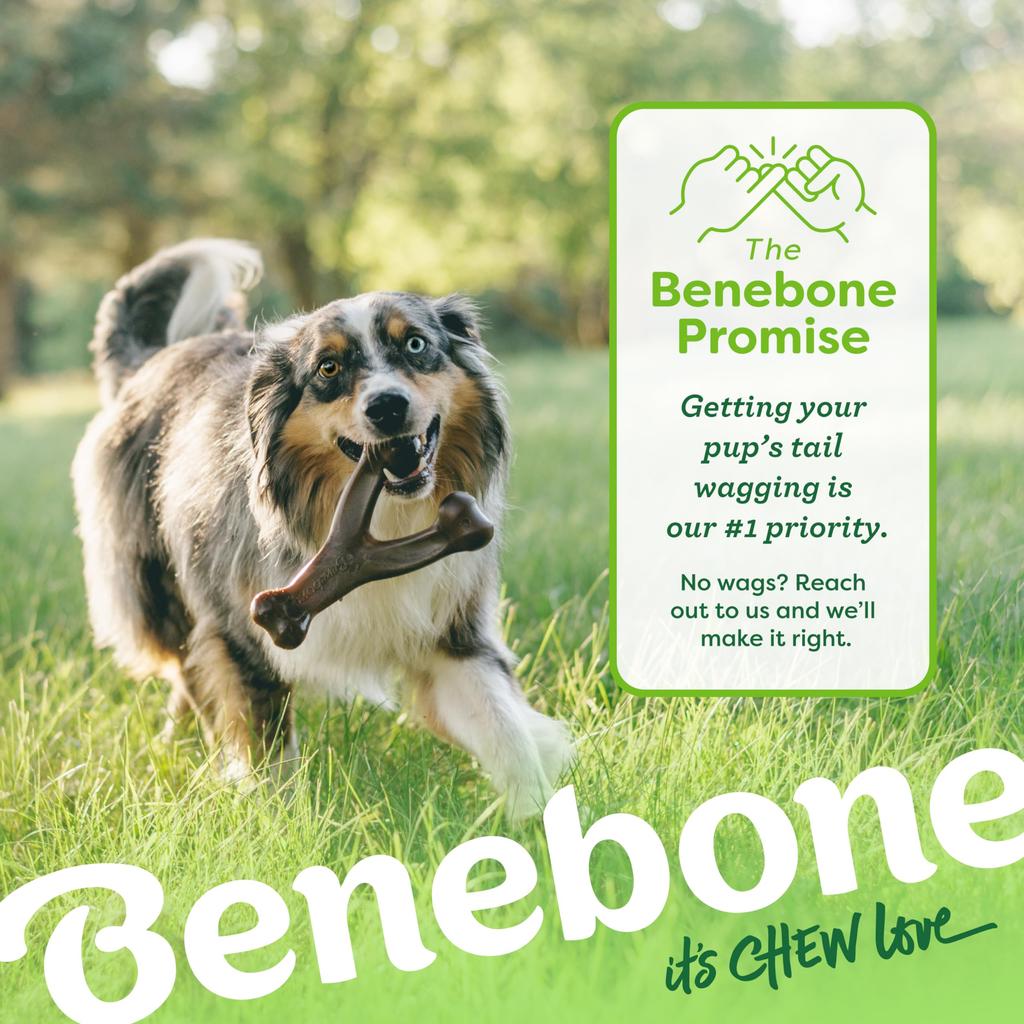Purful Benebone Roast Chicken Flavor Chew Medium Co., Ltd. Bone-Shaped Toy, (Imported)