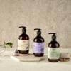 Plu Therapy Body Wash 500g 2 Pcs  Bergamot Lavender 