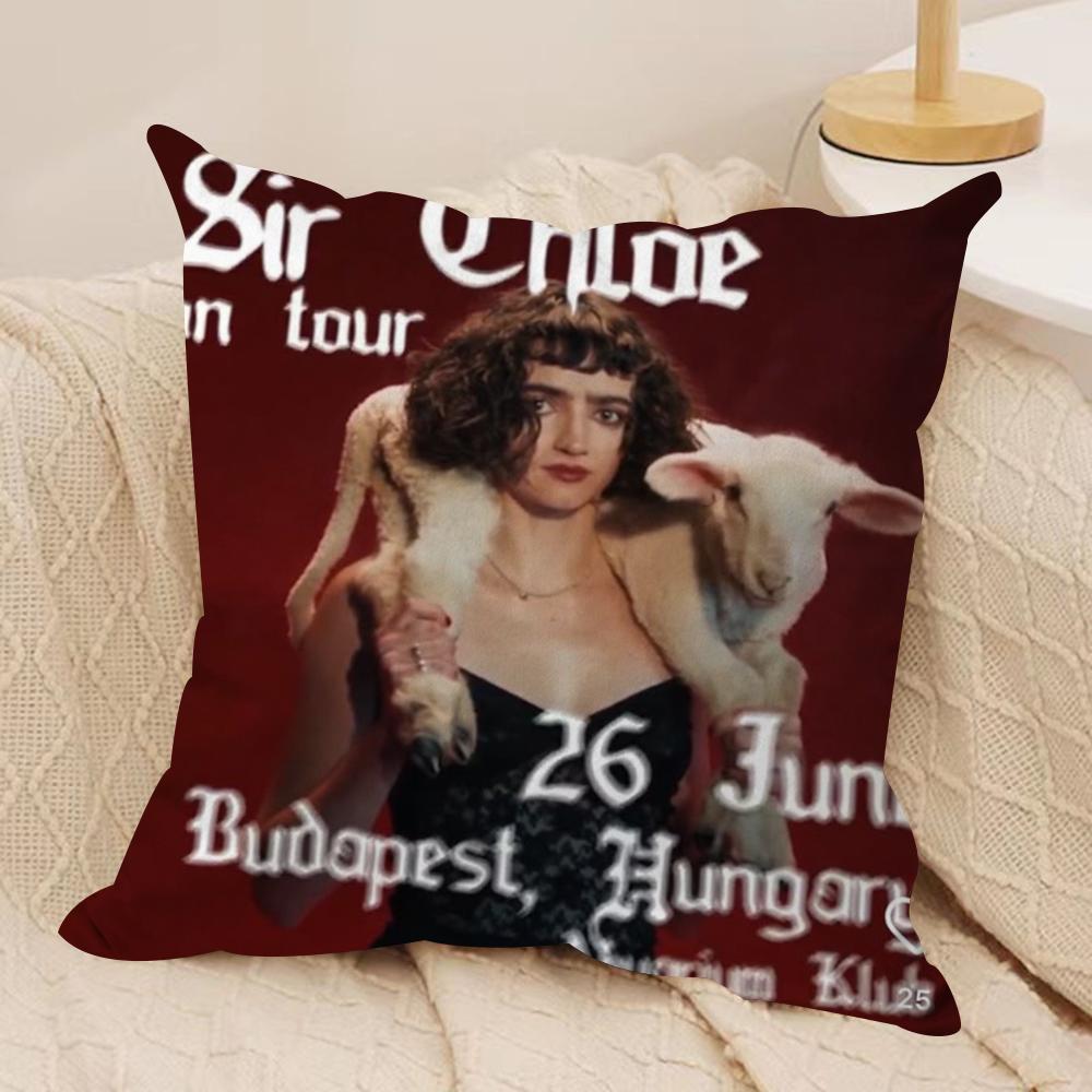 Band S-Sir Chloe Cushion Cover Soft Plush Fabric Double-Sided Printed Sofa Cushion Cover for All Seasons Home Decor Gift