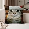 Cat Meme Kawaii Animal Funny Pillow Case Suitable For Bedrooms Living Rooms Cars Home Decoration