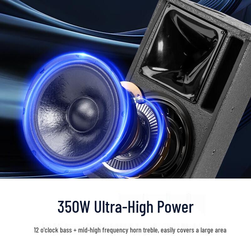 SAST Professional 12-inch Conference & KTV Audio System CN plug (adapter included)