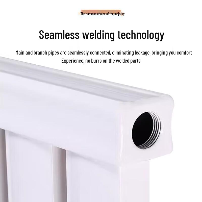 Goldenpeich Wall-Mounted Steel Hydronic Radiator