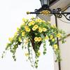 Home Wall Garland Fake Silk Morning Glory Artificial Flower Vine Hanging Plant