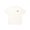 Li Ning T Shirts Unisex Ecru Crew Neck Moderate Straight Fit AHSU245-1