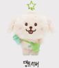 NCT Wish Wish Dollar Original Dang Liver