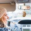 Animal Car Decoration Banana Dog Auto Rearview Mirror Ornament Car Mirror Decoration and Car