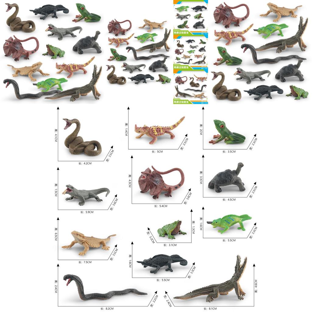 Realistic Pvc Forest Amphibian Animal Model Set With Colorful Tree Frogs Turtles And Chameleons