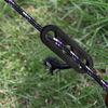 Wind Rope Buckle For Tent 10X Tent Wind Rope Tightener Buckle Windproof Canopy Supplies For Camping Hiking Picnic Canopy Setup