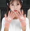 Thickened Plus Velvet Touch Screen Gloves Female Winter Korean Version Knitted Printing Gloves Split Finger Wool Gloves