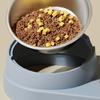 2-in-1 Pet Feeder Tilted Dog Food Bowl with 700ml Automatic Water Dispenser Stainless Steel Bowl Food And Water Feeder for Cats Dogs