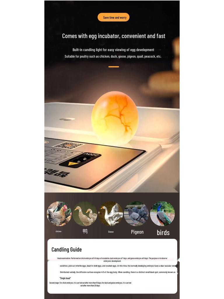 Lu Ding Smart Home Incubator for Chickens, Ducks, Quails, and Pigeons - Fully Automatic