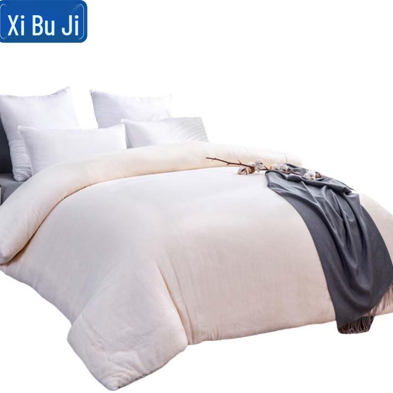 

Xinjiang Cotton Blended Quilt