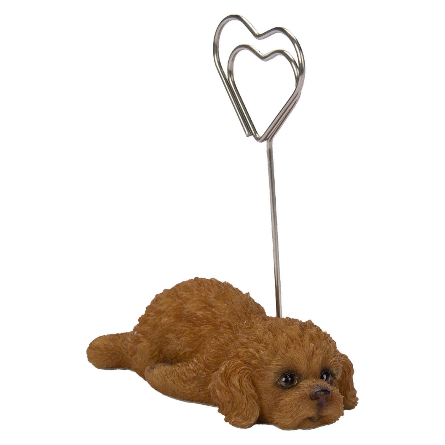 

Ubia Prone Toy Poodle Red Memo 7 x 4 x 8 Doll Animal Garden Cute Holder, cm, Figurine, Ornament, Decor, Realistic, Dog, H24171-1