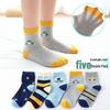 Breathable Cotton Mid-Calf Socks for Kids (1-15 Years), Anti-Odor, Cute Design for Boys and Girls, Ideal for Spring and Autumn.
