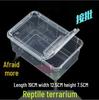 Reptile Habitat Tank for Silkworms, Spiders, Frogs, Snakes, Lizards, Snails, Insects, and Turtles