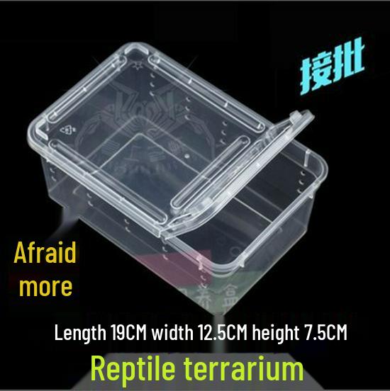 Reptile Habitat Tank for Silkworms, Spiders, Frogs, Snakes, Lizards, Snails, Insects, and Turtles