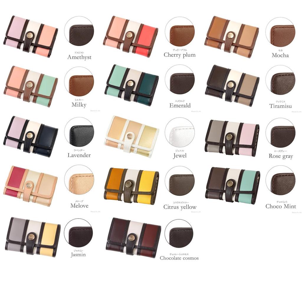 Clelia Women's Key Case with 6 Key Hooks, Multicolor, Bellezza Series [CL-11157] (Chocolate Mint)