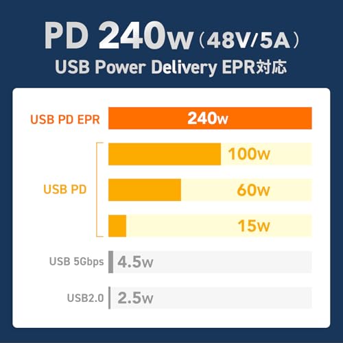 Sanwa Supply USB 20Gbps Type-C Cable (Single Screw Lock, 240W, 2m) KU-20GCCPESSL20