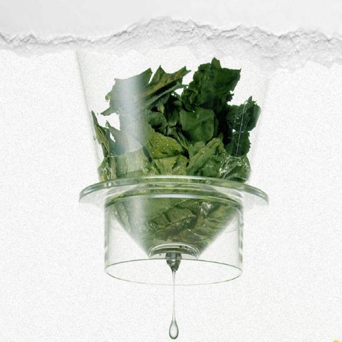 MANYO FACTORY Unser veganer Herzblatt Feuchtigkeitsberuhigungs-Toner 315ml