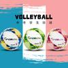 Professional Indoor Volleyball Ball, High Quality, Competition, Game, V300W, , New Style