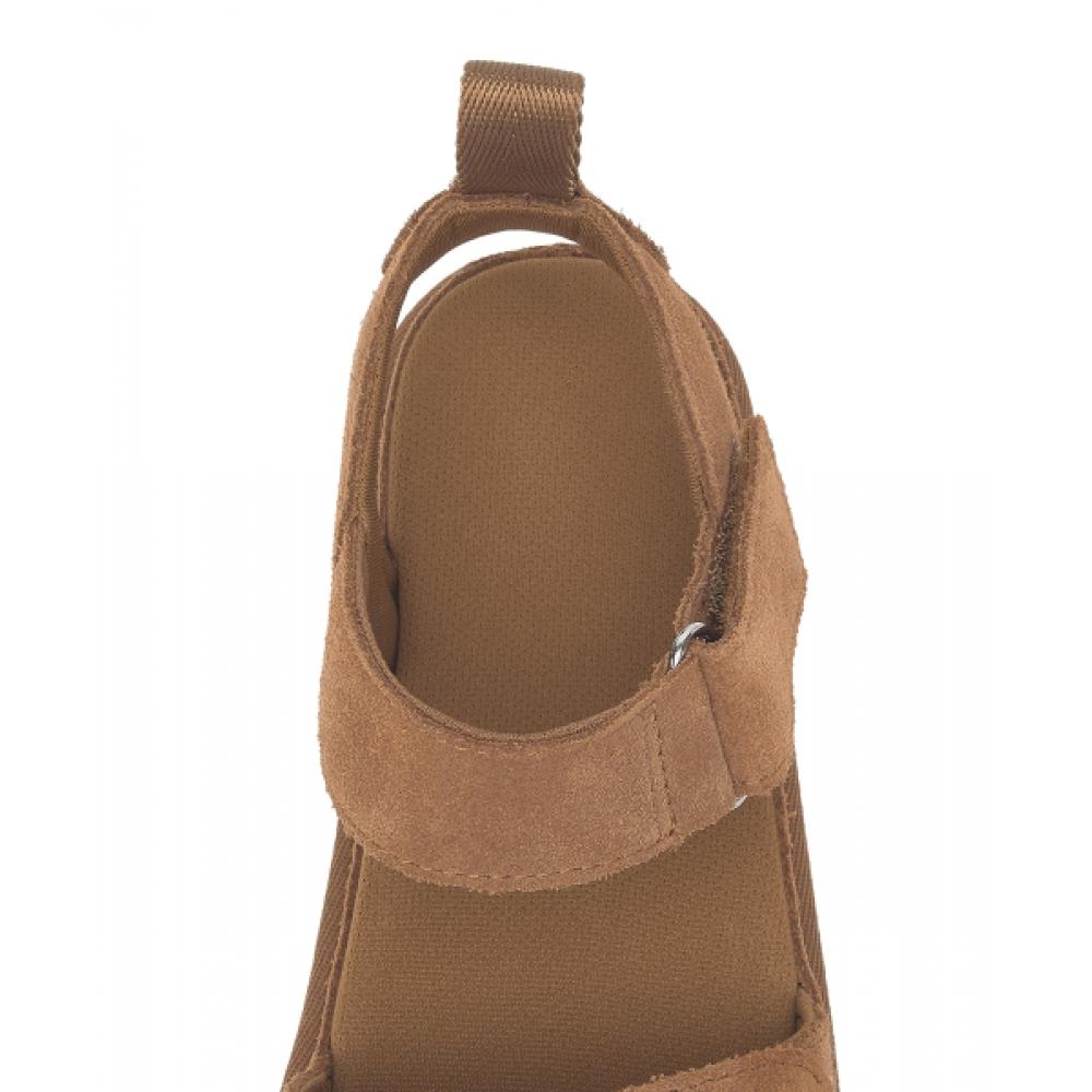 Ugg Golden Star W   Chestnut  1136783 Che
