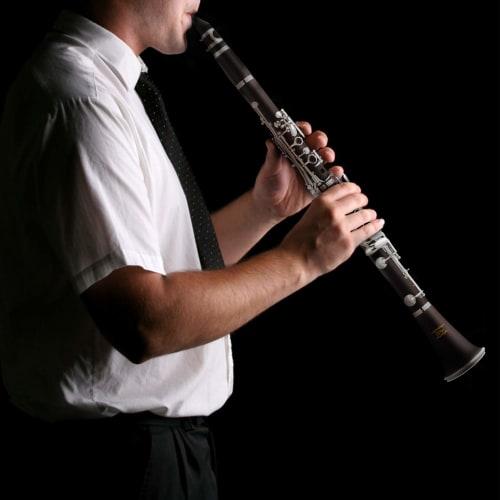 Eastar ECL-300 Black Boehm Clarinet, Nickel-Plated, Key of B, ABS Resin Body, with Care Instructions, Beginner's Specifications, Perfect for School Op