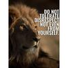 DIY 5D Diamond Painting Ruthless Lion Diamond Mosaic Cross Stitch Kits Home Decoration Full Round Diamond Embroidery