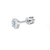 Women's High-End Plain Hoop Earrings: Light Luxury Ear Drops & Studs, Niche Design for Autumn/Winter.
