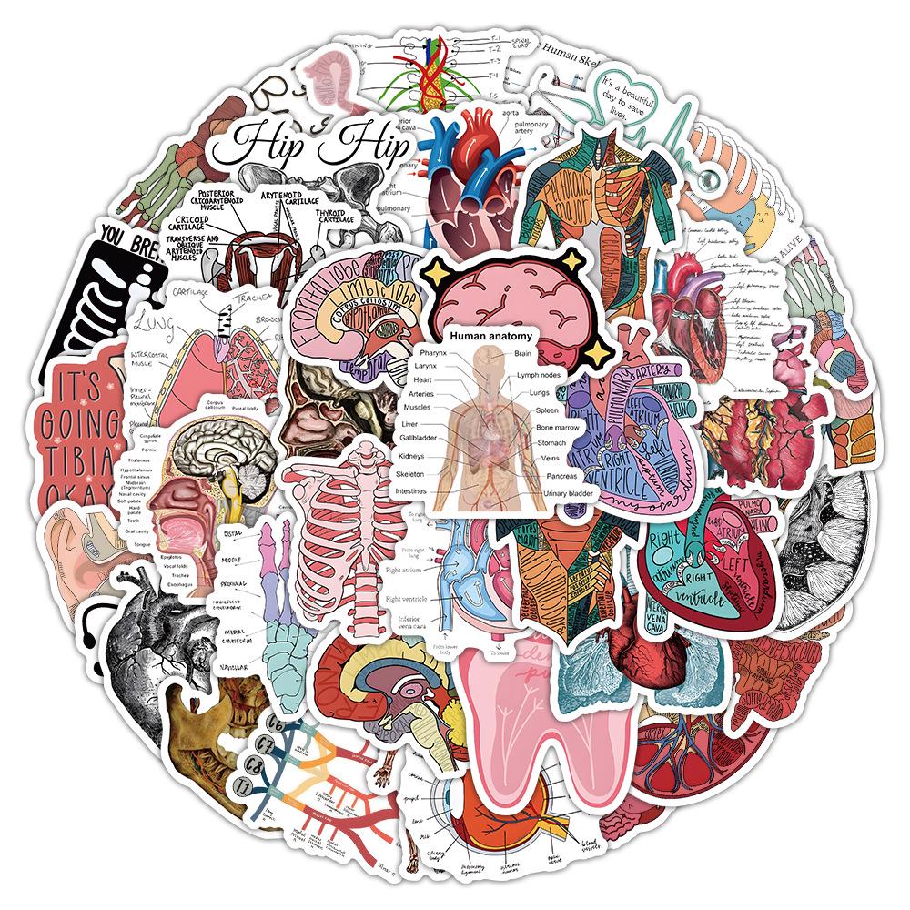 50 Cross-border Human Anatomy Graffiti Suitcase Stickers
