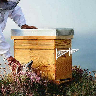 Beehive Frame Holder 2PCS Beekeeping Frame Support Bracket Rack Support Rack Hive Stand Supplies Sturdy & Lightweight Garden
