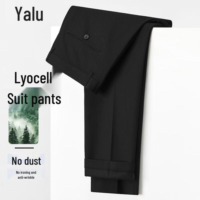 Men s Lyocell Blend Wrinkle-Free Dress Pants 165/74A/29