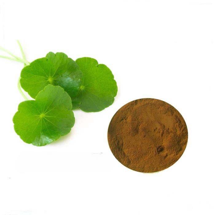 

440 г экстракта готу кола 10:1 порошок, чистая трава, центелла азиатская