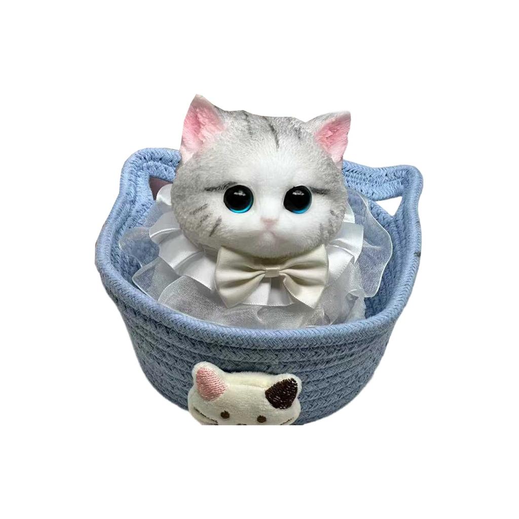 Cute Slow- Stress Toy - Adorable Face, The Perfect Stress Reliever For Lovers.
