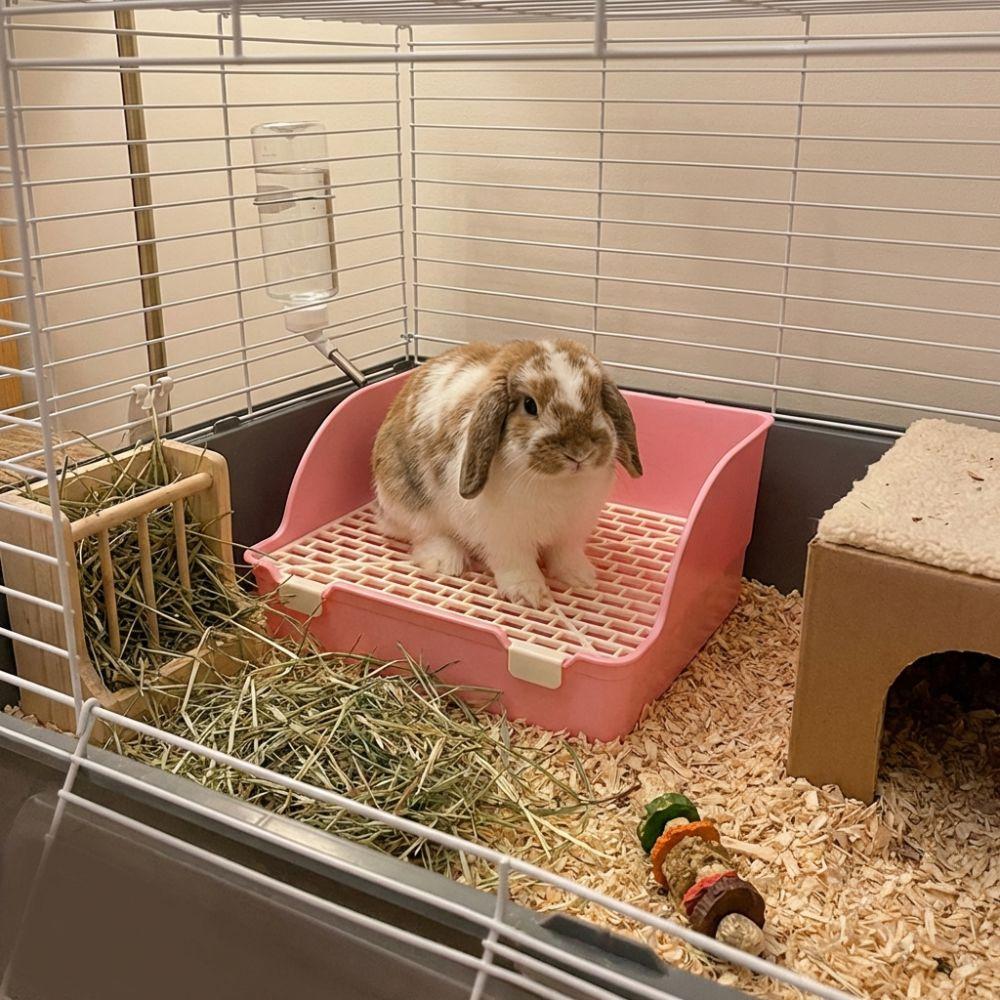 Rectangular Animal Potty Trainer Splash-Proof Pet Toilet Box Rabbit Litter Tray  Animal Bathroom