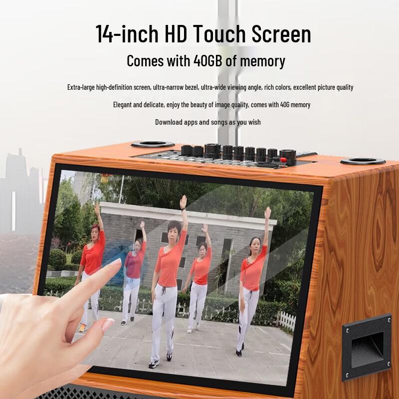 Soaiy SA-D9C 10-inch KTV Karaoke Speaker with Display