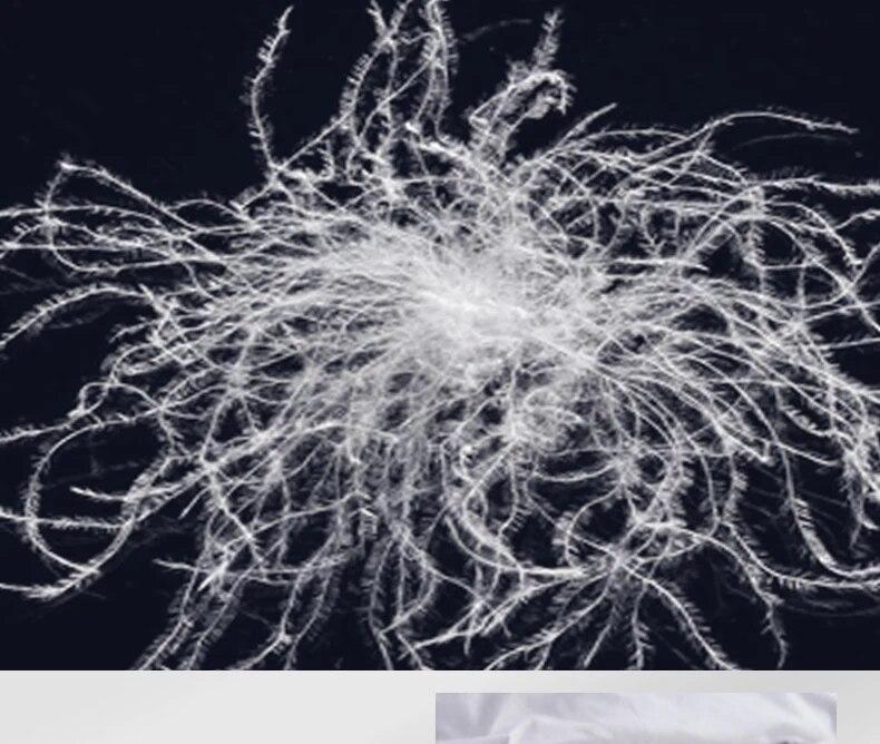 Luxusní přikrývka z bílého husího peří Jednolůžková/Dvojlůžková/King/Queen Velikost Vložka do přikrývky Design s plisováním 100% Bavlna Povlak Silná Prošívaná Přikrývka