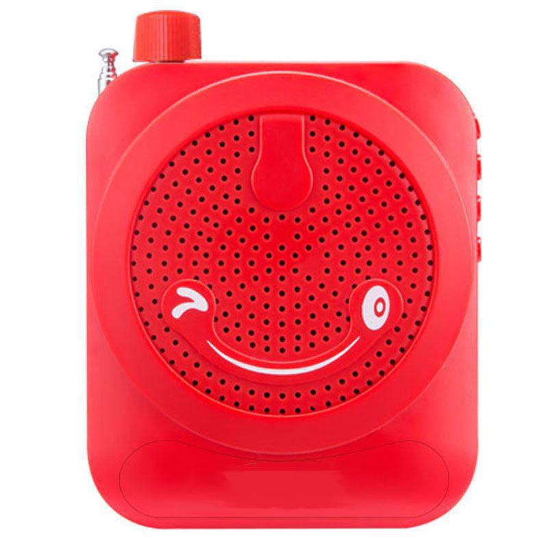 Mini Wireless Little Bee Megaphone: Portable High-Power Speaker for Teachers & Tour Guides