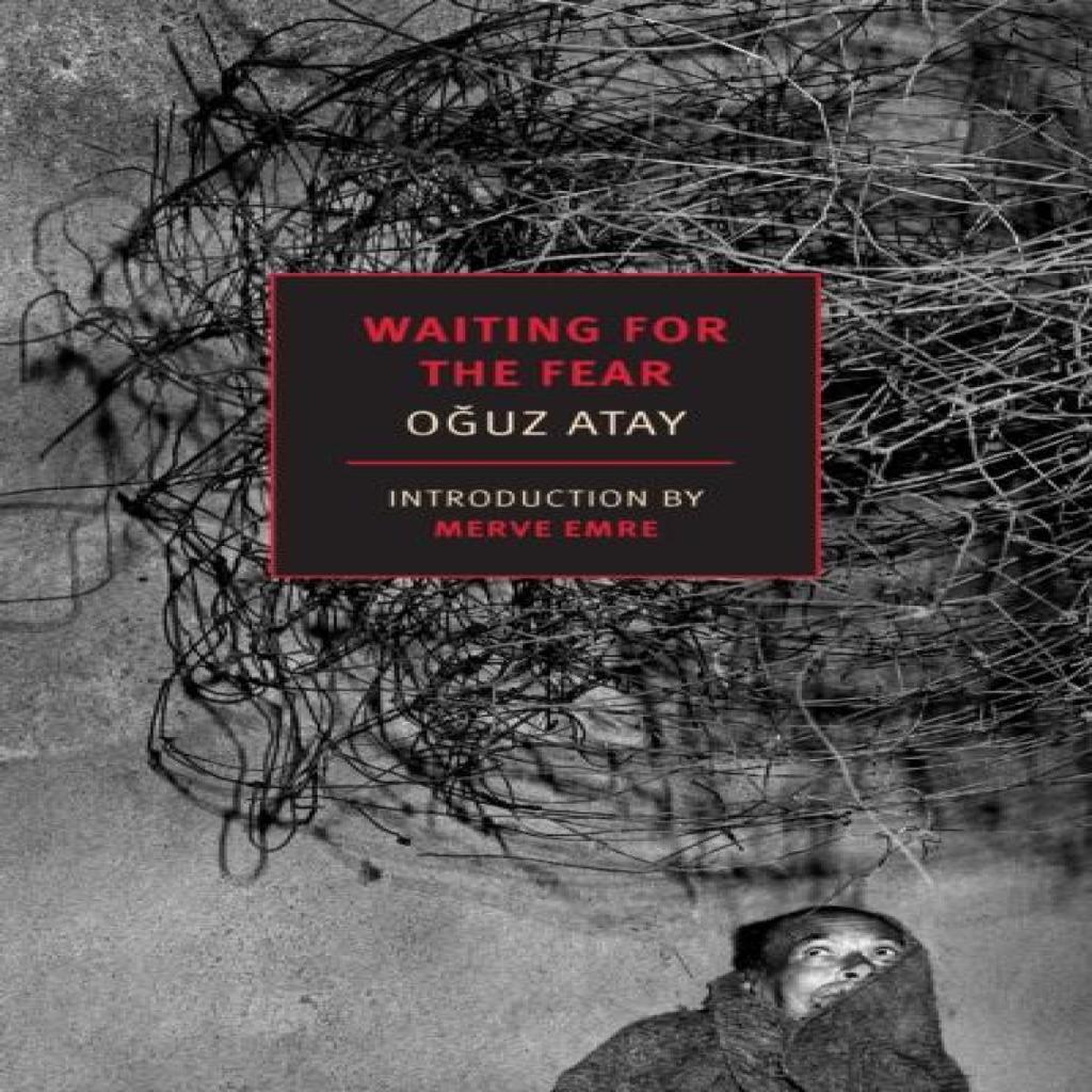 Waiting for the Fear by Ralph Hubbell Paperback Book 9781681377964