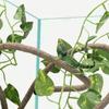 Reptile Habitat Decor: Simulation Vine with Lizard, Chameleon, Snake & Gecko Climbing Features