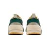 Onitsuka Tiger Big Logo Trainer 'White Green' 1183A795-102