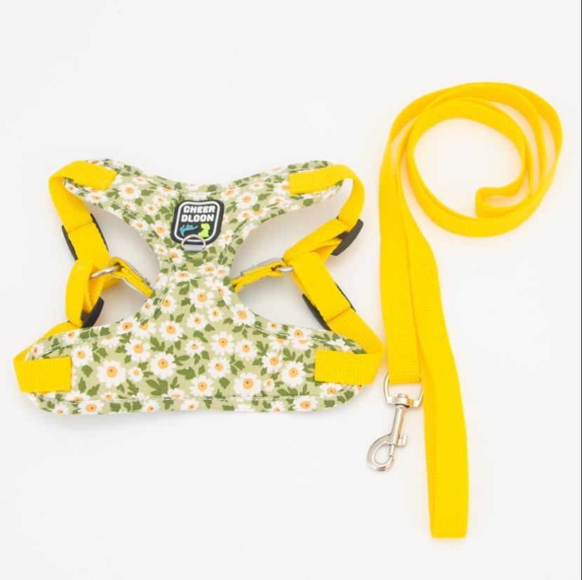 Sicheres atmungsaktives Hundegeschirr und Leinen-Set für kleine bis mittelgroße Hunde, Katzen Geschirre Weste Welpen Brustgurt