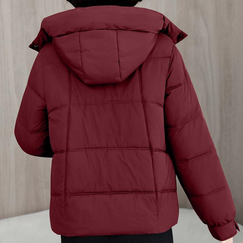 Plus Size L-5XL Middle Age Female Coat Winter Jackets Hooded Loose Thick Warm Women Parkas
