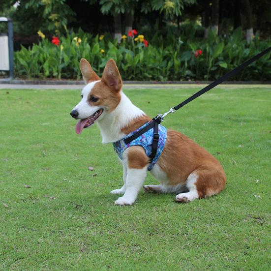 decorative dog harness