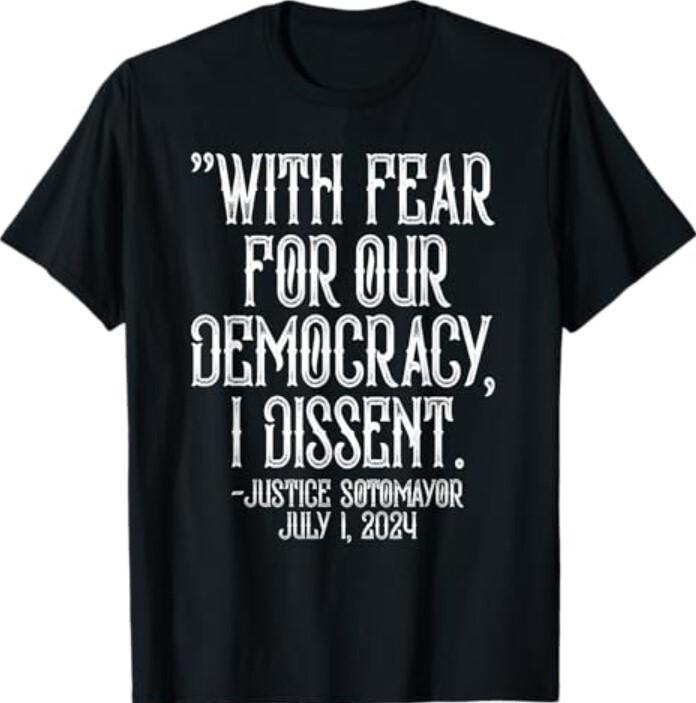 SCOTUS In Fear For Our Democracy I Dissent Quote T-Shirt L