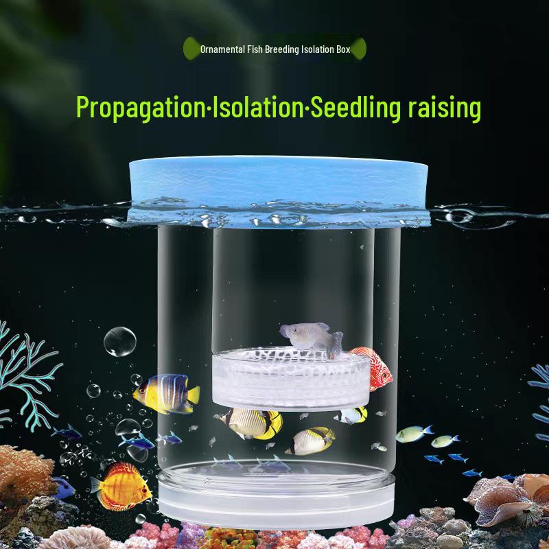 Caja de Cría para Acuario Suspendida - Aislamiento y Protección para Huevos y Alevines de Guppy