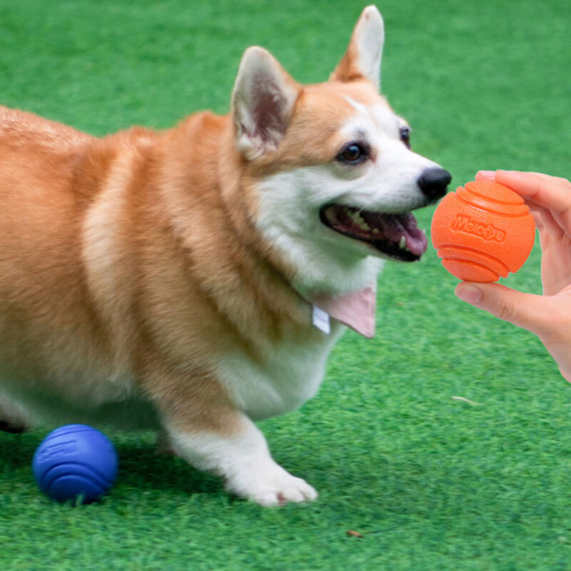 

PH Dog Pet Puppy Play Elastic Ball 9052 M green