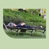Nu Feng Outdoor Folding Camping Bed
