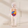 Kids Human Body Organ Assembly Science Learning Toy Hands On Anatomy Exploration STEM Educational Activity For Preschool