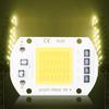 2PCS AC110V 50W High Bright Integrated LED Chip Light Source COB Chips 6x4cm Warm