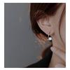 925 Sterling Silver Zircon Earrings for Women, Fashionable and Exquisite Trendy Earrings, Earrings, Light Luxury Korean Style Earrings
